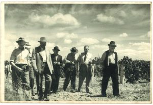 historical image of an old field day with the heads of historical nz wineries